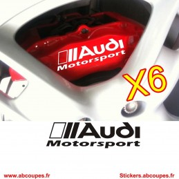 Frein Audi Motorsport